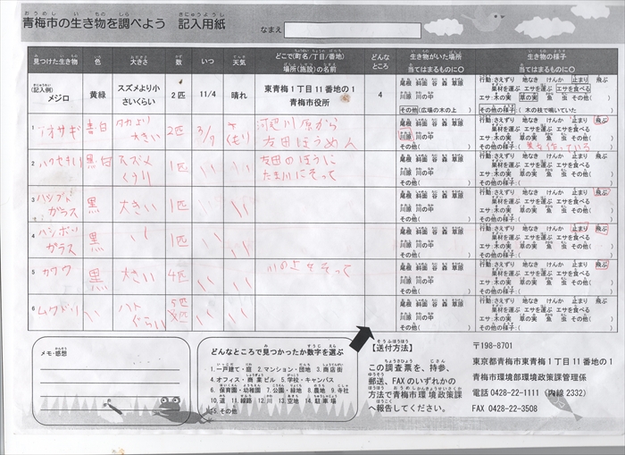 �N���b�N����Ɗg�債�܂�